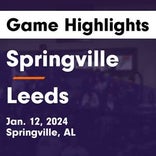 Basketball Game Recap: Springville Tigers vs. Pelham Panthers