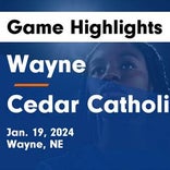 Basketball Game Preview: Wayne Blue Devils vs. Norfolk Catholic Knights