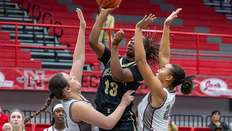 Southeast girls bkb rebounding leaders