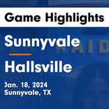 Soccer Game Recap: Sunnyvale vs. Kaufman