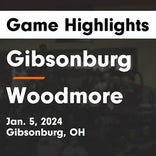 Basketball Game Recap: Woodmore Wildcats vs. Gibsonburg Golden Bears