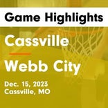 Basketball Game Recap: Cassville Wildcats vs. Webb City Cardinals
