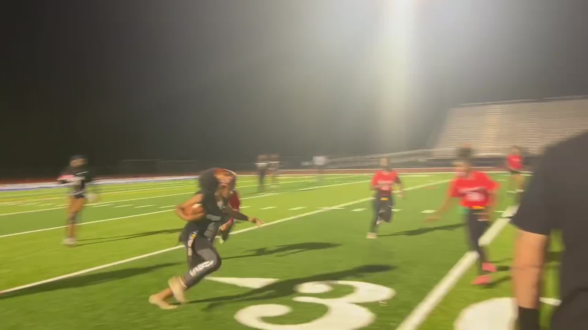 Softball Recap: Riverdale Takes a Loss