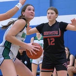 High school basketball: Great Lakes region girls basketball rebounding leaders