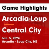 Basketball Game Preview: Arcadia/Loup City Rebels vs. Doniphan-Trumbull Cardinals