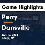 Reese Dixon leads Dansville to victory over Perry