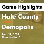 Basketball Recap: Hale County skates past Sipsey Valley with ease