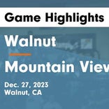 Basketball Game Recap: Mountain View Vikings vs. Marshall Eagles