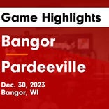Basketball Game Recap: Bangor Cardinals vs. Pardeeville Bulldogs