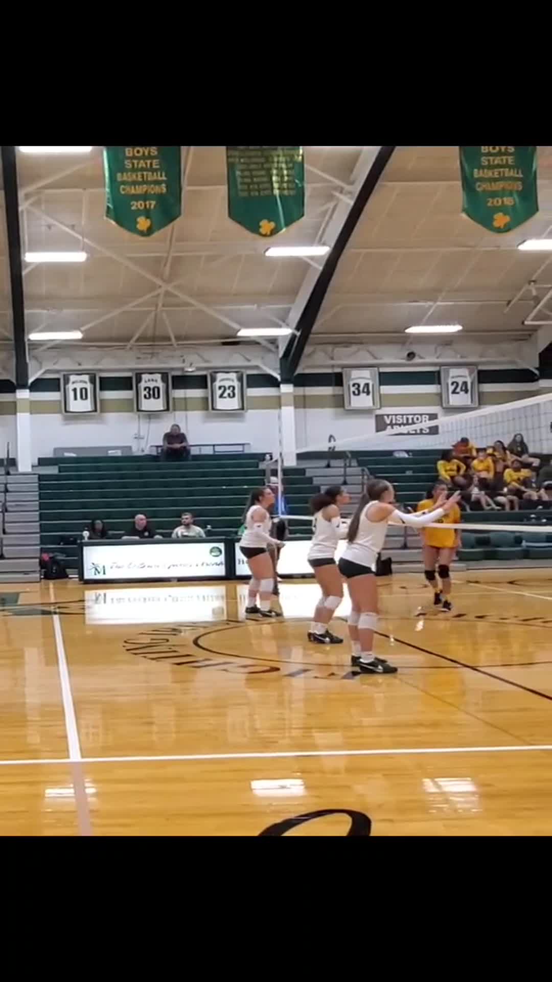 Volleyball Recap: St. Vincent-St. Mary Comes Up Short