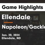 Basketball Game Preview: Ellendale Cardinals vs. Leola/Frederick Titans