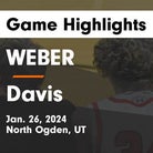 Weber vs. Davis