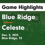 Celeste vs. Blue Ridge