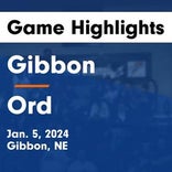 Basketball Game Preview: Gibbon Buffaloes vs. Amherst Broncos