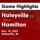 Basketball Game Recap: Haleyville Lions vs. Brilliant Tigers