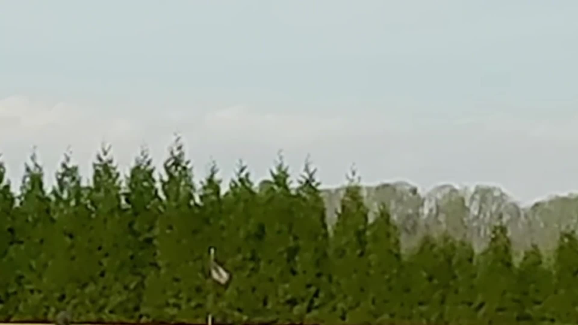 Baseball Game Preview: Draughn Wildcats vs. Christ the King Crusaders