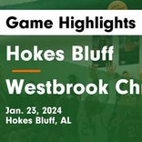 Basketball Game Recap: Hokes Bluff Eagles vs. Sand Rock Wildcats