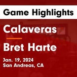 Basketball Recap: Calaveras falls despite strong effort from  Corbin Curran