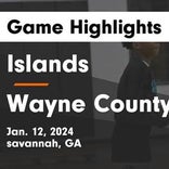 Islands vs. Wayne County