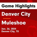 Basketball Game Preview: Denver City Mustangs vs. Brownfield Cubs