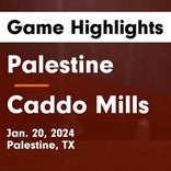 Soccer Game Preview: Palestine vs. Madisonville