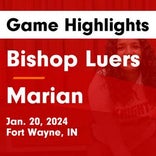 Fort Wayne Bishop Luers takes down Whitko in a playoff battle