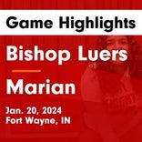 Fort Wayne Bishop Luers vs. Whitko