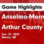 Basketball Game Recap: Arthur County Wolves vs. South Platte Blue Knights