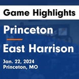 Basketball Game Preview: Princeton Tigers vs. Albany Warriors