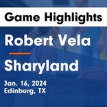 Basketball Game Preview: Vela Sabercats vs. Pioneer Diamondbacks