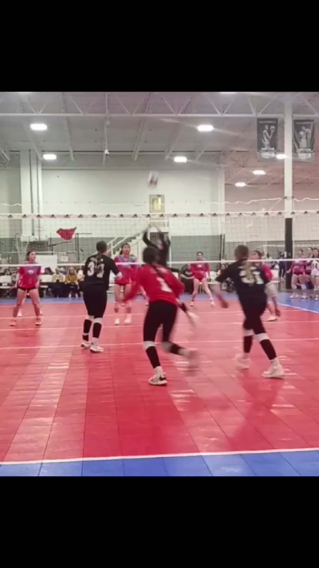 Volleyball Recap: Shoals Picks Up Third Consecutive  Victory