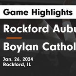 Basketball Game Preview: Rockford Auburn Knights vs. Belvidere Bucs