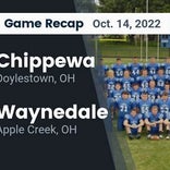 Football Game Preview: Dalton Bulldogs vs. Chippewa Chipps