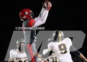 Michigan High School football 2018 playoff brackets: MHSAA