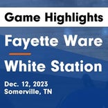 Basketball Game Recap: White Station Spartans vs. Whitehaven Tigers