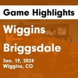 Basketball Game Preview: Briggsdale Falcons vs. Idalia Wolves