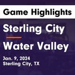 Basketball Game Recap: Water Valley Wildcats vs. Reagan County Owls