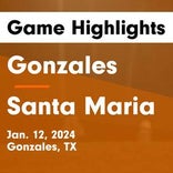 Gonzales vs. Fox Tech