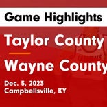 Basketball Game Preview: Taylor County Cardinals vs. Elizabethtown Panthers