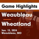 Basketball Game Preview: Weaubleau Tigers vs. Northeast Vernon County Knights