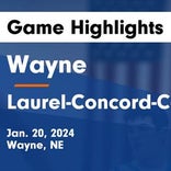 Wayne extends home winning streak to 13