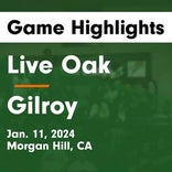 Basketball Game Recap: Live Oak Acorns vs. Silver Creek Raiders
