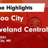 Basketball Game Recap: Cleveland Central Wolves vs. Greenville Hornets