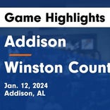 Basketball Game Recap: Addison Bulldogs vs. Oakman Wildcats