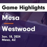 Basketball Game Recap: Westwood Warriors vs. Red Mountain Mountain Lions