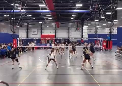 Volleyball Recap: Winter Haven Extends Winning Streak to Six