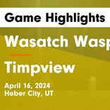 Soccer Game Recap: Timpview Gets the Win
