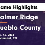 Basketball Game Preview: Palmer Ridge Bears vs. Air Academy Kadets