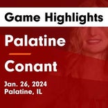 Basketball Game Recap: Conant Cougars vs. Palatine Pirates