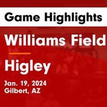 Basketball Game Preview: Williams Field Black Hawks vs. Higley Knights